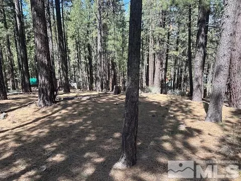 150 Pinon Rd, Markleeville, CA 96120 photo 32