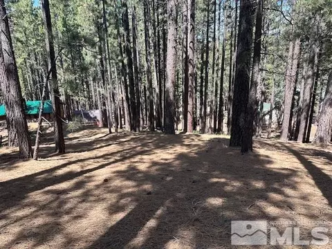 150 Pinon Rd, Markleeville, CA 96120 photo 6