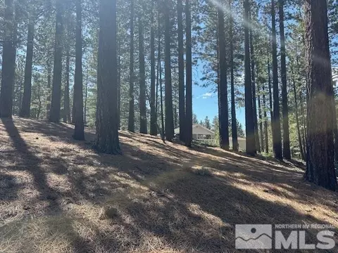 150 Pinon Rd, Markleeville, CA 96120 photo 21