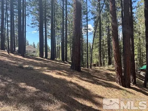 150 Pinon Rd, Markleeville, CA 96120 photo 28