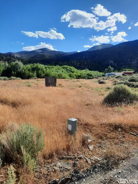 126 Del Dr, Kingston, NV 89310 photo 1
