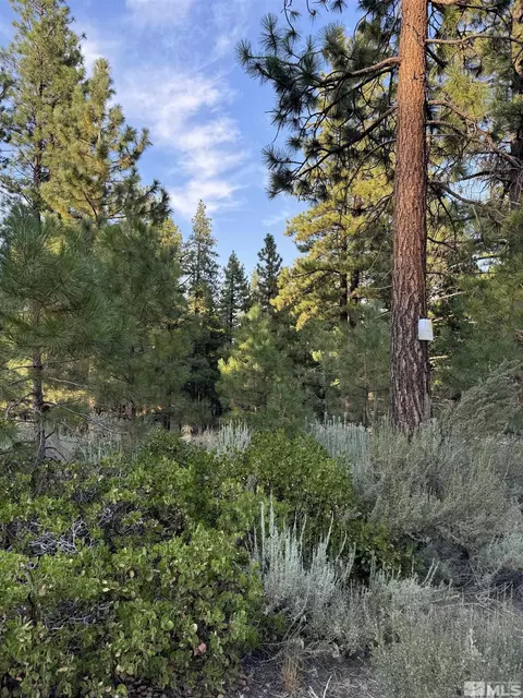 0000 Joy Lake Rd, Reno, NV 89511