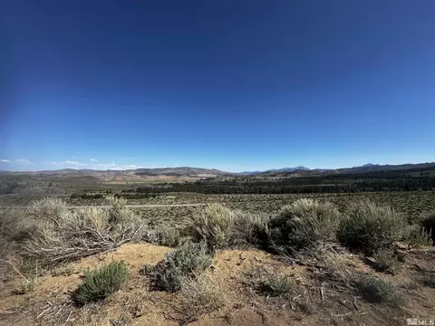 550 Emigrant Trl, Woodfords, CA 96120 photo 1