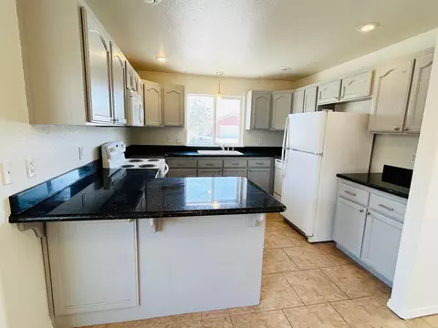 489 Torrey Pines Dr, Fallon, NV 89406 photo 3