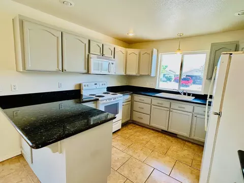 489 Torrey Pines Dr, Fallon, NV 89406 photo 4