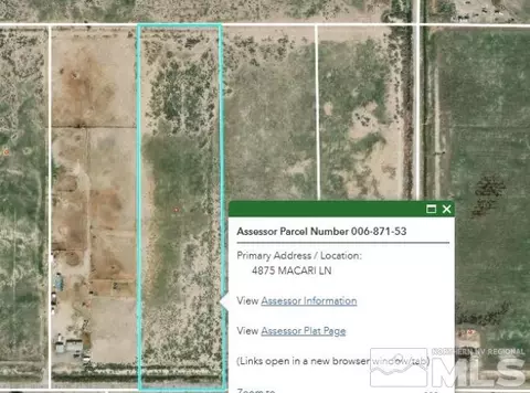 4875 Macari Ln, Fallon, NV 89406 photo 3