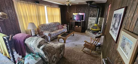 Living - 316 Toiyabe Rd, Kingston, NV 89310 photo 2 of 2