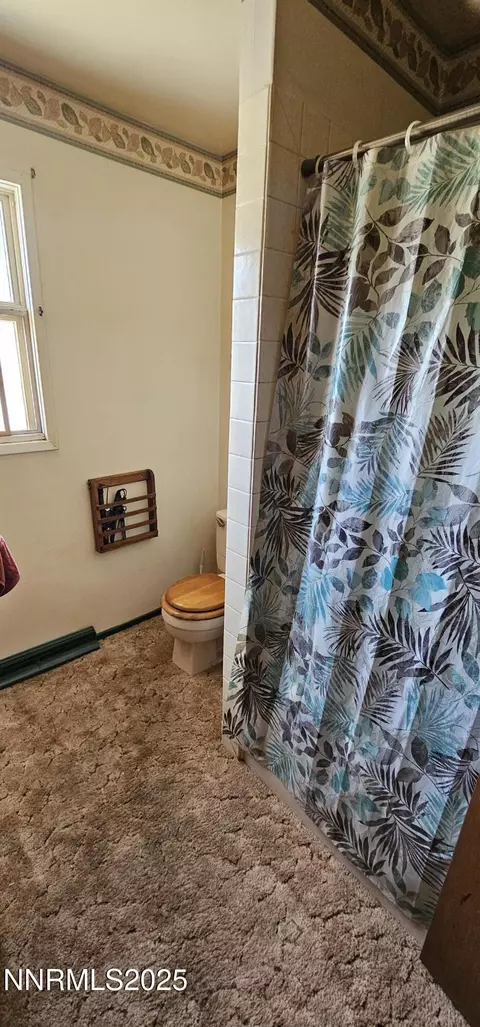 Bath - 316 Toiyabe Rd, Kingston, NV 89310 photo 1 of 3