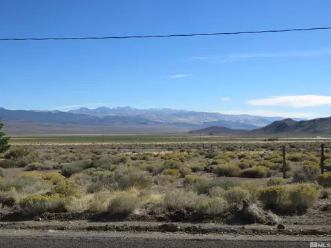 3907 Carter Dr, Wellington, NV 89444