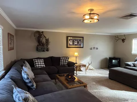 Living - 3205 St Clair Rd, Fallon, NV 89406 photo 3 of 4