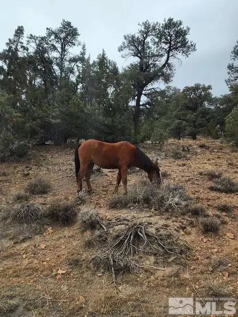21940 Panhandle Rd, Virginia City, NV 89521 photo 6
