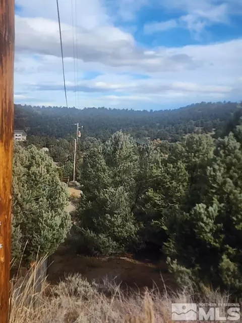 21940 Panhandle Rd, Virginia City, NV 89521