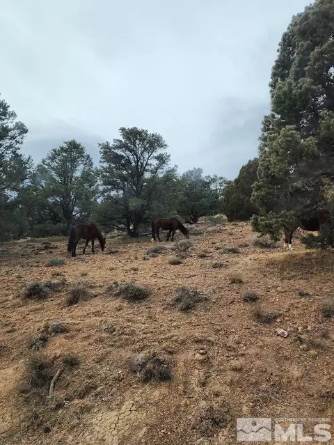 21940 Panhandle Rd, Virginia City, NV 89521 photo 5