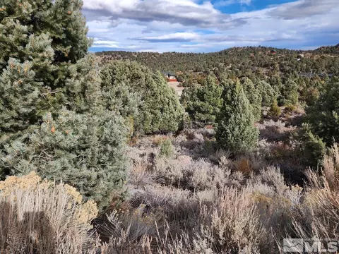 21940 Panhandle Rd, Virginia City, NV 89521 photo 3