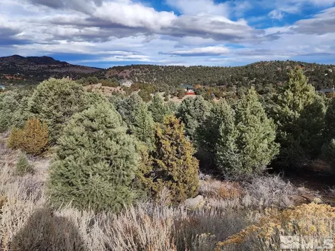 21940 Panhandle Rd, Virginia City, NV 89521 photo 2