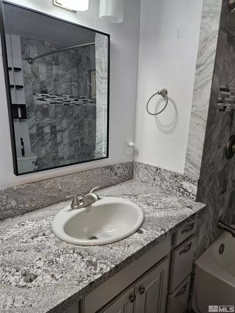 280 Taurus Cir, Reno, NV 89521 photo 19