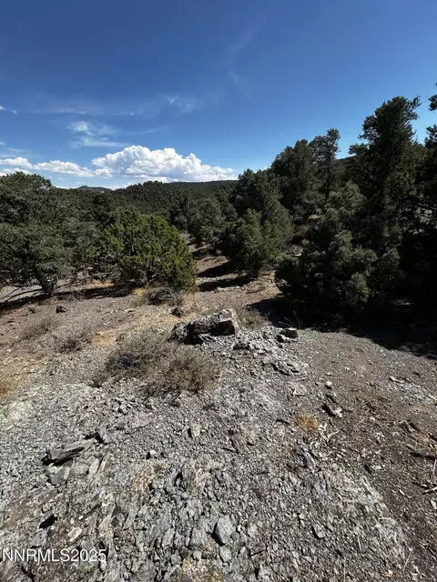 2035 Silverado Rd, Reno, NV 89521 photo 2