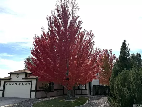 6770 Sonterra Ln, Reno, NV 89523