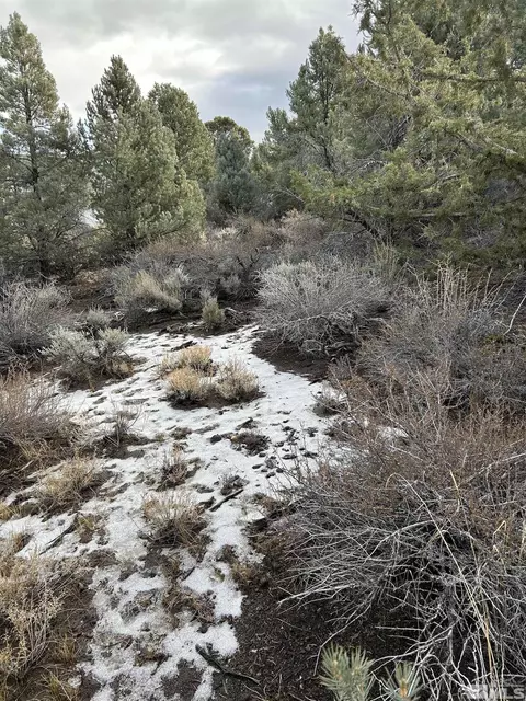 1825 Empire Rd, Virginia City, NV 89521