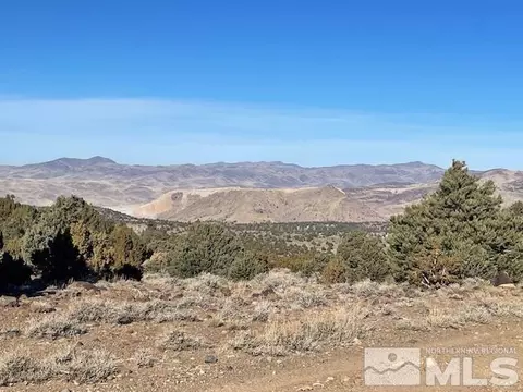 40 Se4nw4-s1618n21e # S, Virginia City, NV 89521