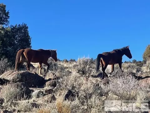 40 Sw4nw4-s1618n21e # S, Virginia City, NV 89521