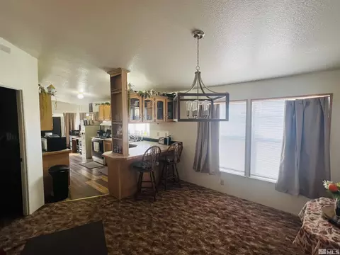 5360 Vanessa Dr, Fallon, NV 89406 photo 15