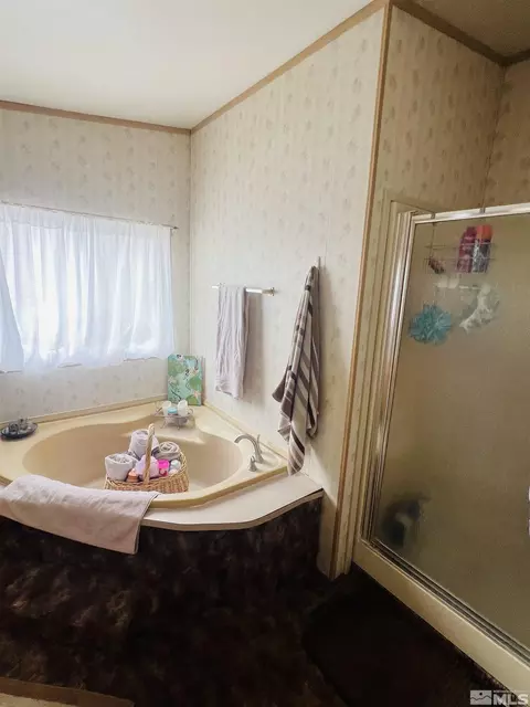 5360 Vanessa Dr, Fallon, NV 89406 photo 7