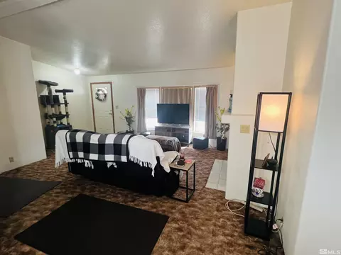 5360 Vanessa Dr, Fallon, NV 89406 photo 21