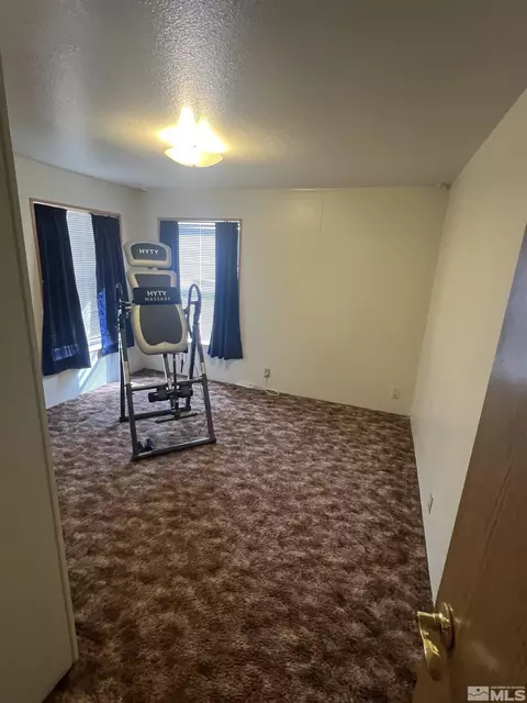 5360 Vanessa Dr, Fallon, NV 89406 photo 17