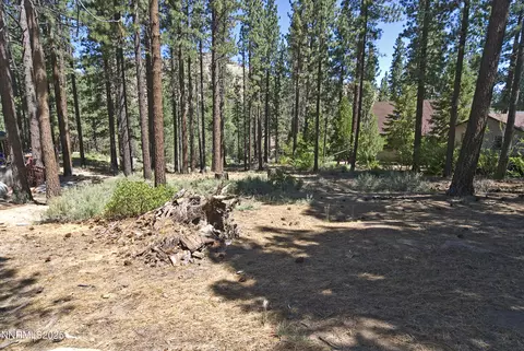 50 Pinon Rd, Markleeville, CA 96120