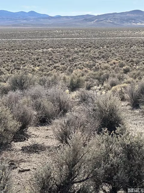 355 Ludwig, Smith, NV 89430