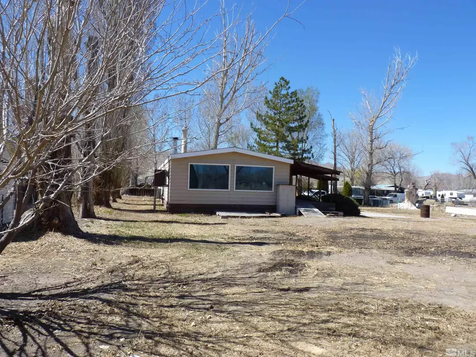  6 Palomino, Yerington, NV 89447 photo 1