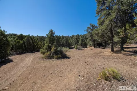 2290 Cartwright Rd, Reno, NV 89521 photo 22