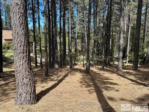 546 Pleasant Valley Rd, Markleeville, CA 96120