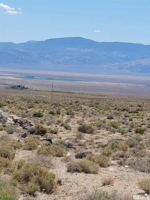 810 Chiatovich Creek Rd, Dyer, NV 89010