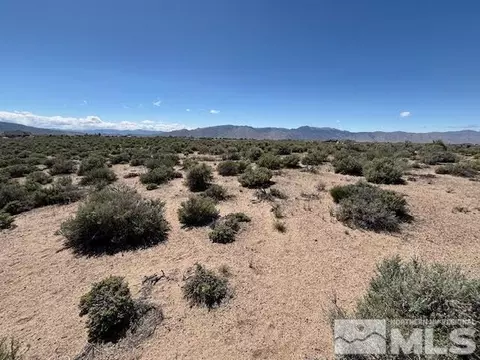365 Ludwig Ln, Smith, NV 89430