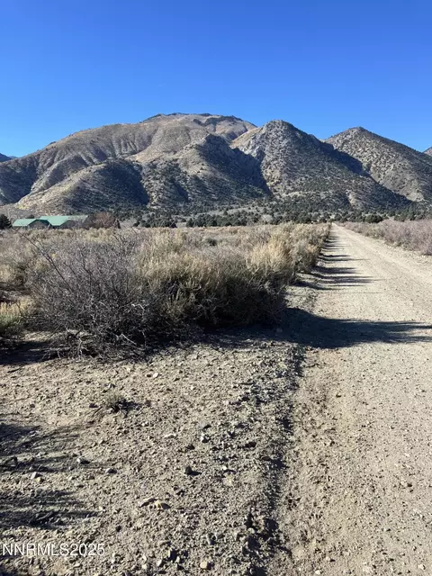 45 Red Canyon Rd, Wellington, NV 89444