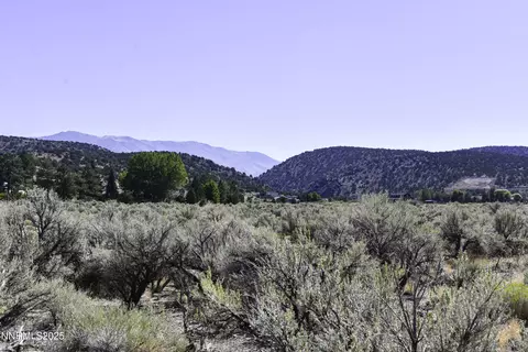 330 Veris Ct #1, Gardnerville, NV 89410