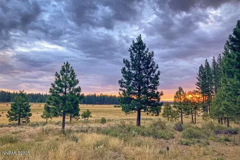 1015 Mountain Quail Rd, Calpine, CA 96124 photo 31