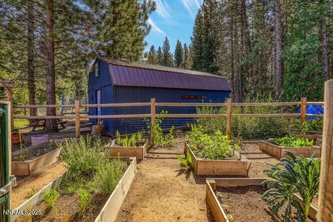 1015 Mountain Quail Rd, Calpine, CA 96124 photo 6
