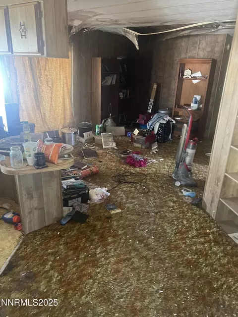 1200 Soda Lake Rd, Fallon, NV 89406 photo 5