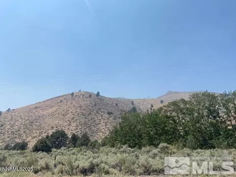 0 Highway 395, Coleville, CA 96107
