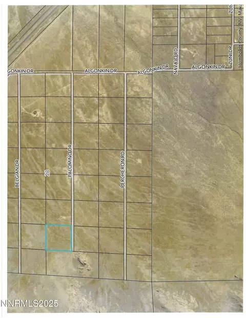 08067107 Palomino Rd, Golconda, NV 89414