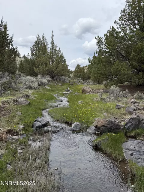 000 Wall Canyon Reservoir Rd, Gerlach, NV 89412