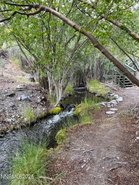 Other - 113 Victorine Dr, Kingston, NV 89310 photo 11 of 17