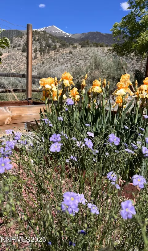 Other - 113 Victorine Dr, Kingston, NV 89310 photo 13 of 17