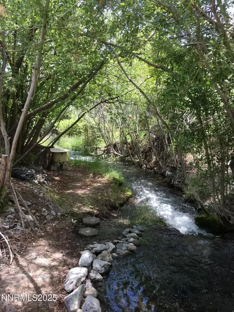 Other - 113 Victorine Dr, Kingston, NV 89310 photo 10 of 17