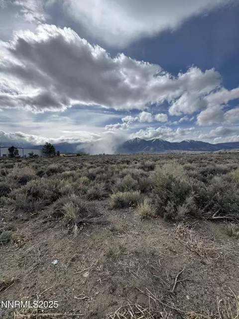 2590 Nowlin Rd, Minden, NV 89423