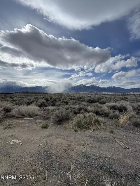 2596 Nowlin Rd, Minden, NV 89423