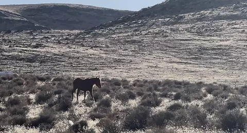 9325 Western Way, Stagecoach, NV 89429